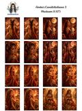 Amber Constellations 2