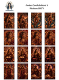 Amber Constellations 5