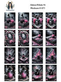 Ashen Petals 14