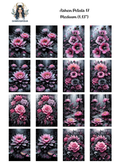 Ashen Petals 17