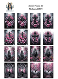 Ashen Petals 20