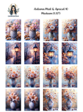 Autumn Mist & Apricot 10