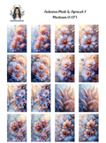 Autumn Mist & Apricot 7