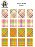Bright Plaid 1