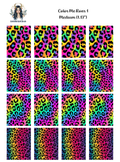 Color Me Roar 1