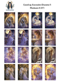 Court of Lavender Dreams 5