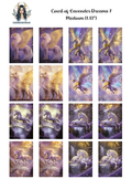 Court of Lavender Dreams 7