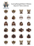 Court of Midnight Petals 2 - Clipart