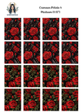 Crimson Petals 4