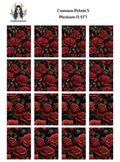 Crimson Petals 5