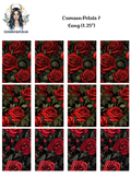 Crimson Petals 7 - Long