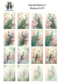 Delicate Blooms 5