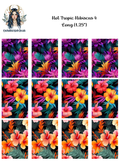 Hot Tropic Hibiscus 4 - Long