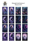 Midnight Violet Nocturne 4