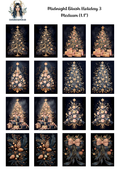 Midnight Blush Holiday 3