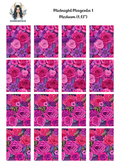 Midnight Magenta 1