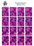 Midnight Magenta 3