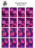 Midnight Magenta 6