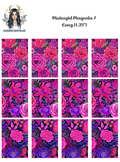 Midnight Magenta 7 - Long