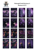Midnight Violet Nocturne 8