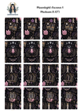 Moonlight Arcana 1
