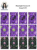 Moonlight Arcana 20 - Long
