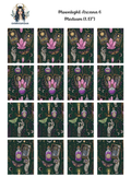 Moonlight Arcana 6