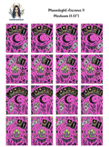 Moonlight Arcana 9