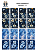 Moonlit Wildflowers 7