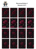 Mourning Dahlia 2
