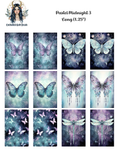 Pastel Midnight 3 (Inventory Clear Out)