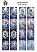Pastel Midnight 4
