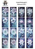 Pastel Midnight 5