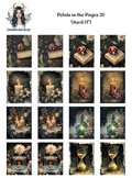 Petals in the Pages 20