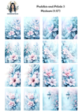 Puddles and Petals 3