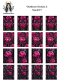Shattered Fuchsia 2