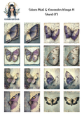 Silver Mist and Lavender Wings 11