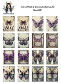 Silver Mist and Lavender Wings 12