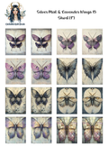 Silver Mist and Lavender Wings 15