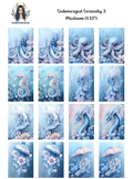 Submerged Serenity 2
