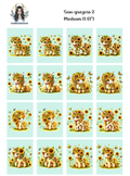 Sun-grazers 2