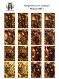 Sunflower Coven Society 2