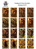 Sunflower Coven Society 6