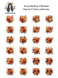 Terracotta Rose 1 - Clipart