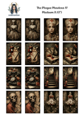 The Plague Maidens 17