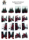 Traditional Christmas 7