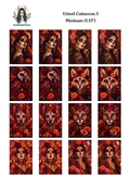 Velvet Calavera 6
