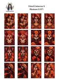 Velvet Calavera 8