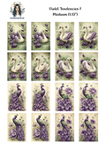 Violet Tendencies 7