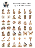 Wildwood Storybook 3 - Clipart Mini